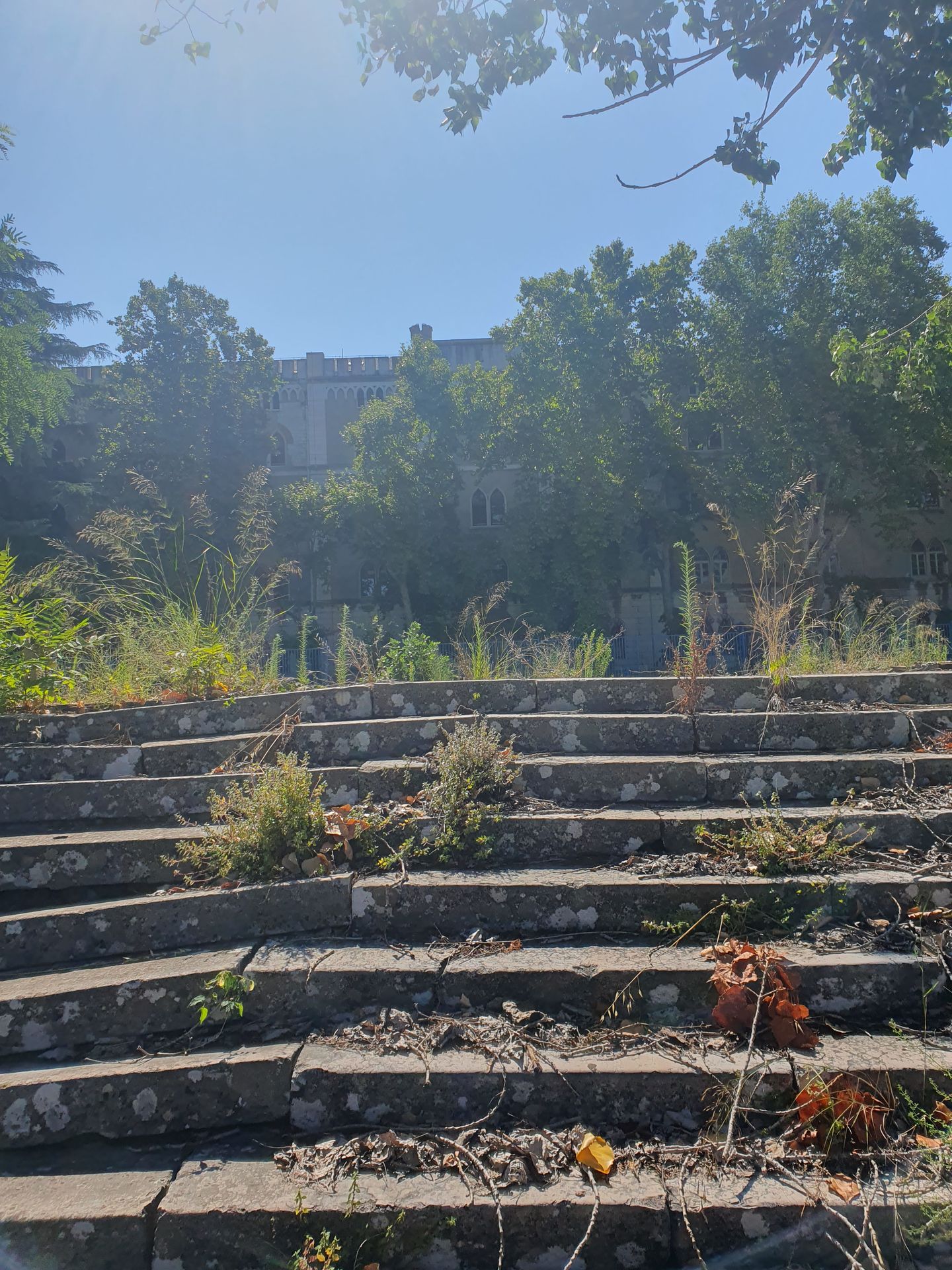Fotografie na pozici 15 ze dne 5