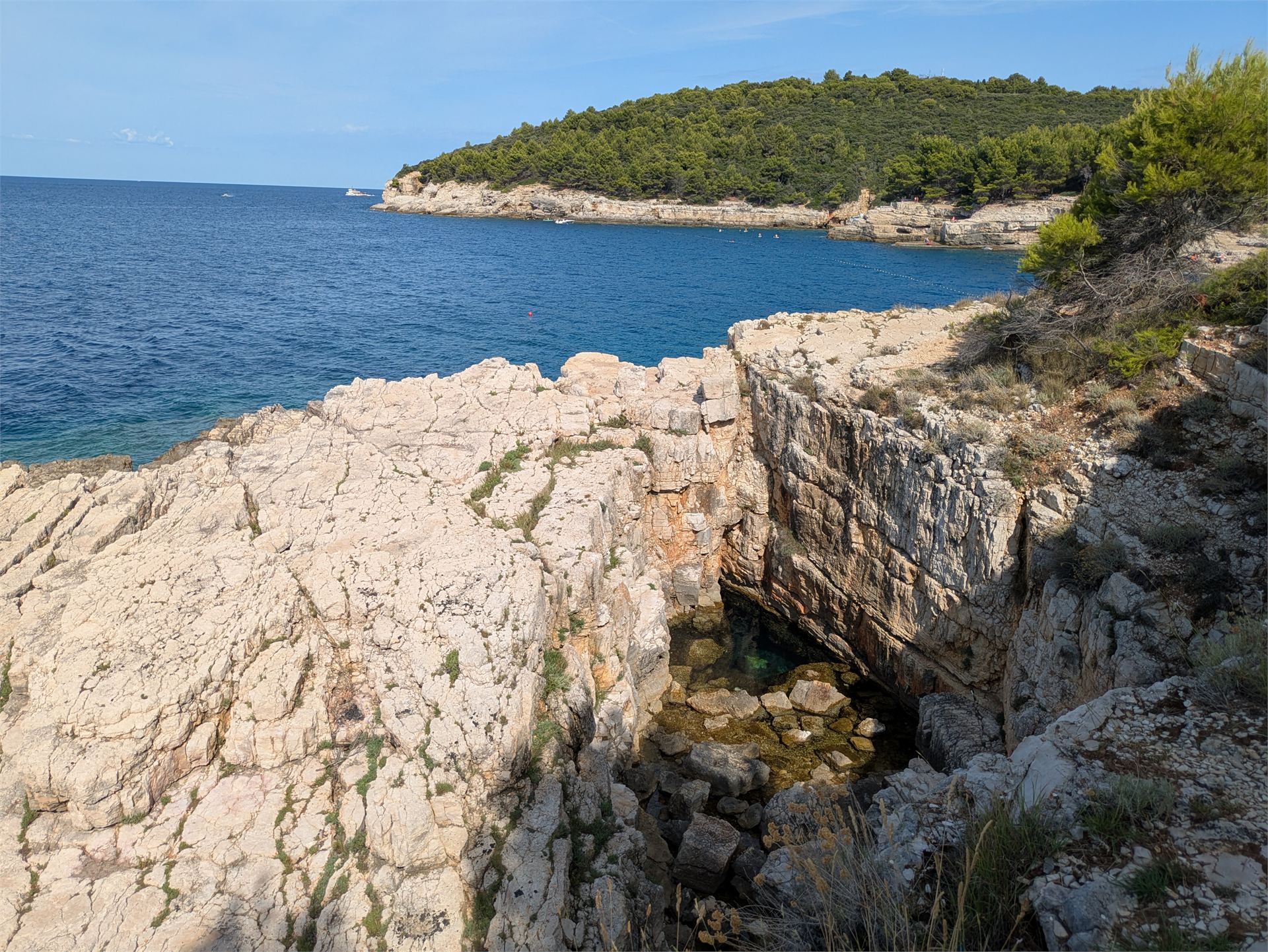 Fotografie na pozici 2 ze dne 6