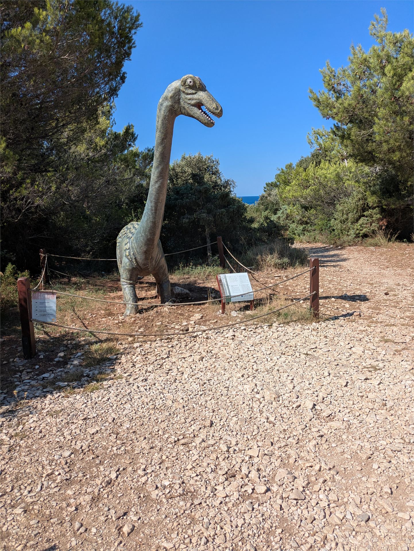Fotografie na pozici 10 ze dne 7