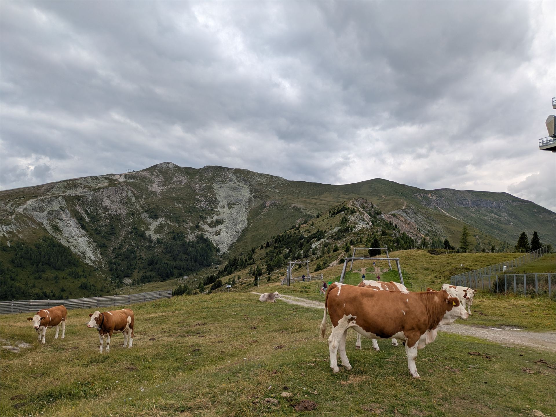 Fotografie na pozici 33 ze dne 10