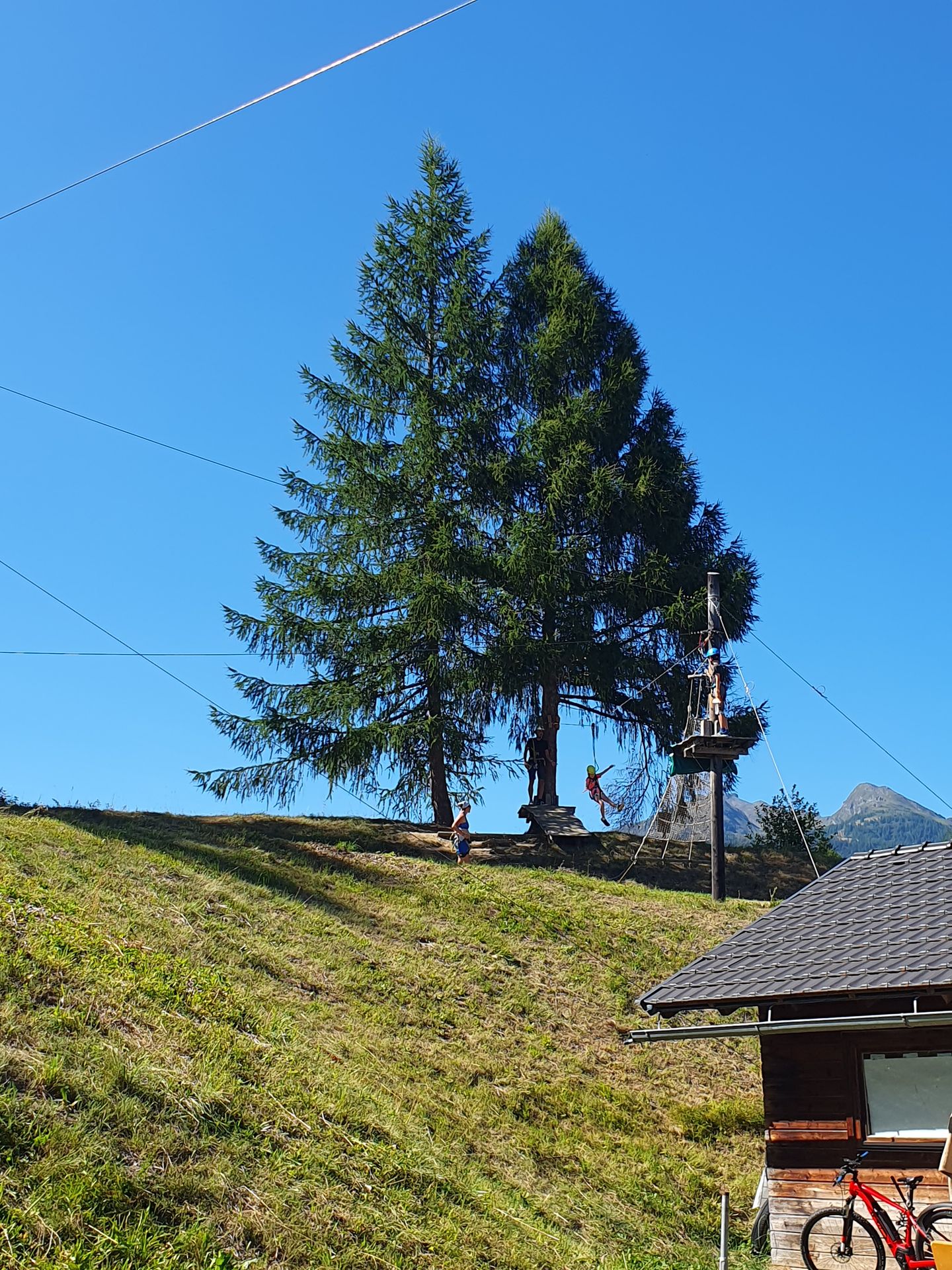 Fotografie na pozici 49 ze dne 11