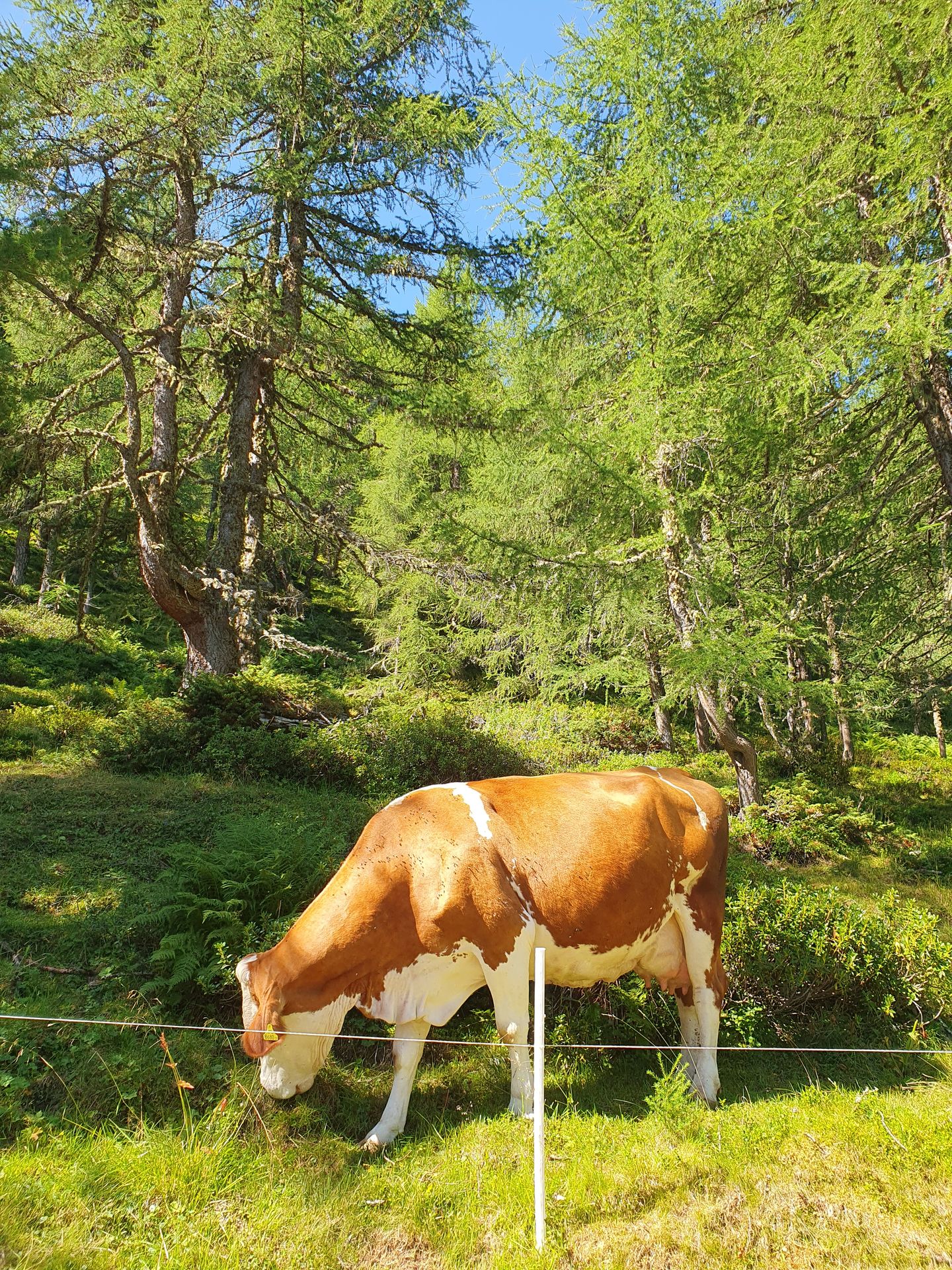 Fotografie na pozici 18 ze dne 12